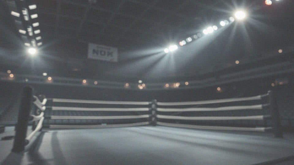 Co to są walki superfight na Gromda 19?