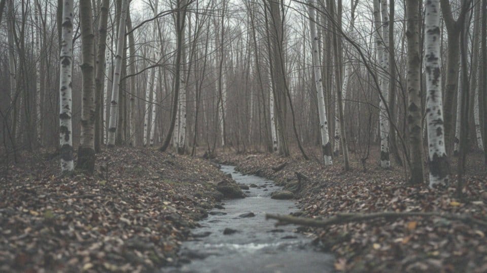 Czy nerki mogą zacząć pracować po niewydolności? Sprawdź odpowiedź