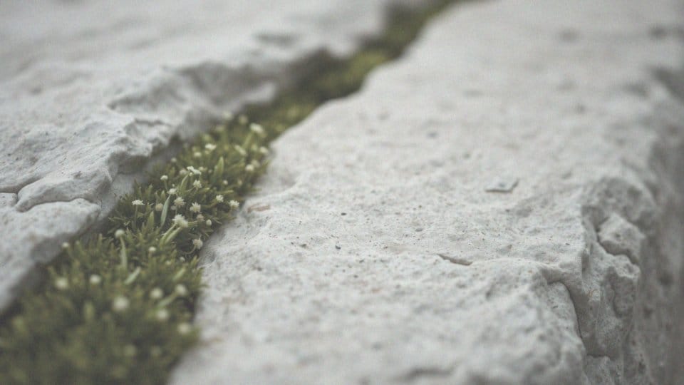 Spuchnięty wzgórek łonowy – przyczyny i wskazania do badania